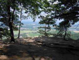 Resize of Talpa 088.jpg